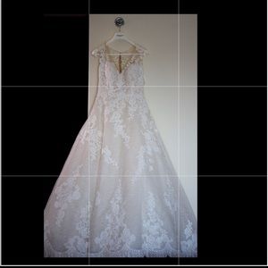 Pronovias Wedding Dress